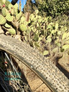 The 650B X 50mm Mso with a cactus background