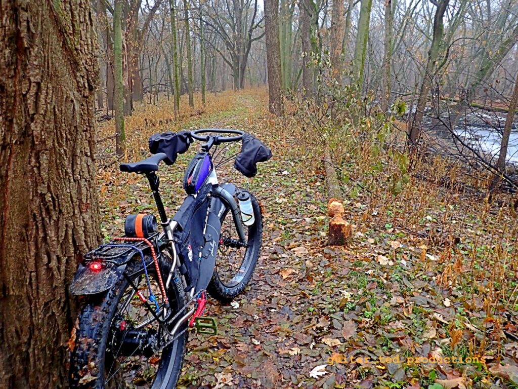 A fat bike in a wooded scene